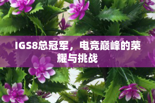 IGS8总冠军,电竞巅峰的荣耀与挑战 IGS8总冠军,电竞巅峰的荣耀与挑战