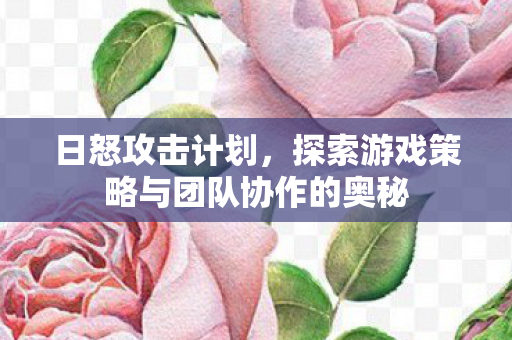 日怒攻击计划，探索游戏策略与团队协作的奥秘