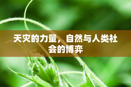 天灾的力量,自然与人类社会的博弈 天灾的力量,自然与人类社会的博弈