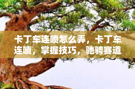 卡丁车连喷怎么弄，卡丁车连喷，掌握技巧，驰骋赛道