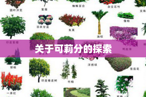 关于可莉分的探索 关于可莉分的探索