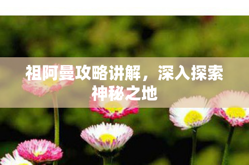 祖阿曼攻略讲解,深入探索神秘之地 祖阿曼攻略讲解,深入探索神秘之地