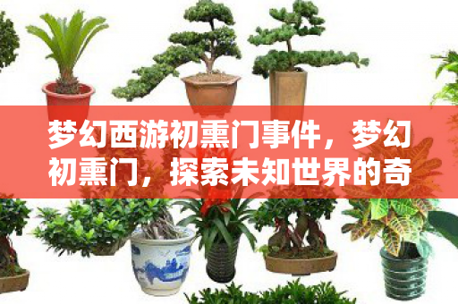 梦幻西游初熏门事件,梦幻初熏门,探索未知世界的奇幻之旅 梦幻西游初熏门事件,梦幻初熏门,探索未知世界的奇幻之旅