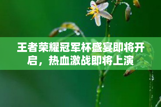 王者荣耀冠军杯盛宴即将开启,热血激战即将上演 王者荣耀冠军杯盛宴即将开启,热血激战即将上演