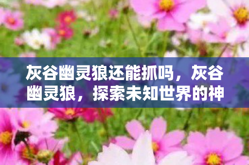 灰谷幽灵狼还能抓吗,灰谷幽灵狼,探索未知世界的神秘生物 灰谷幽灵狼还能抓吗,灰谷幽灵狼,探索未知世界的神秘生物