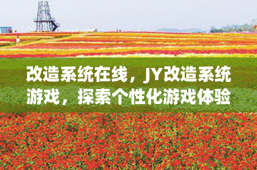 改造系统在线,JY改造系统游戏,探索个性化游戏体验的新篇章 改造系统在线,JY改造系统游戏,探索个性化游戏体验的新篇章