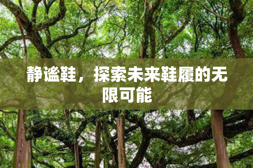 静谧鞋,探索未来鞋履的无限可能 静谧鞋,探索未来鞋履的无限可能