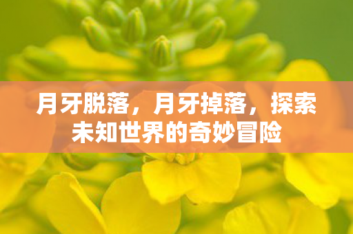 月牙脱落，月牙掉落，探索未知世界的奇妙冒险
