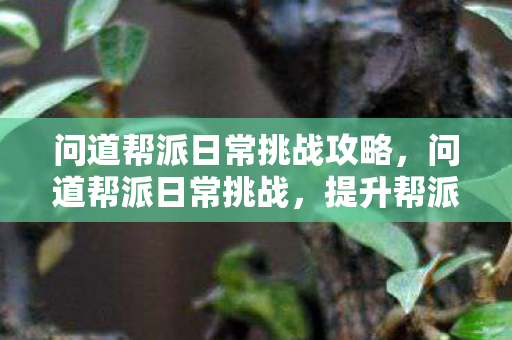问道帮派日常挑战攻略,问道帮派日常挑战,提升帮派实力的必经之路 问道帮派日常挑战攻略,问道帮派日常挑战,提升帮派实力的必经之路