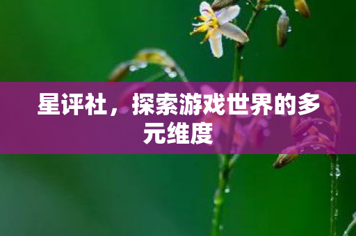 星评社,探索游戏世界的多元维度 星评社,探索游戏世界的多元维度