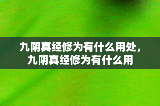 九阴真经修为有什么用处,九阴真经修为有什么用 九阴真经修为有什么用处,九阴真经修为有什么用