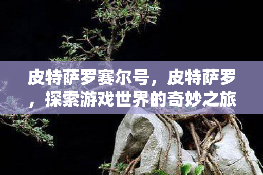 皮特萨罗赛尔号,皮特萨罗,探索游戏世界的奇妙之旅 皮特萨罗赛尔号,皮特萨罗,探索游戏世界的奇妙之旅