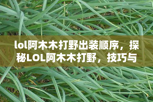 lol阿木木打野出装顺序,探秘LOL阿木木打野,技巧与策略的深度解析 lol阿木木打野出装顺序,探秘LOL阿木木打野,技巧与策略的深度解析