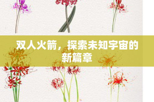 双人火箭,探索未知宇宙的新篇章 双人火箭,探索未知宇宙的新篇章