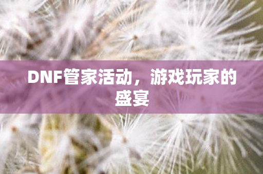 DNF管家活动,游戏玩家的盛宴 DNF管家活动,游戏玩家的盛宴
