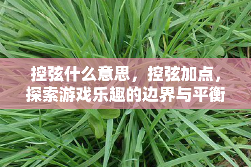 控弦什么意思,控弦加点,探索游戏乐趣的边界与平衡 控弦什么意思,控弦加点,探索游戏乐趣的边界与平衡