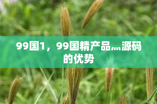 99国1,99国精产品灬源码的优势 99国1,99国精产品灬源码的优势