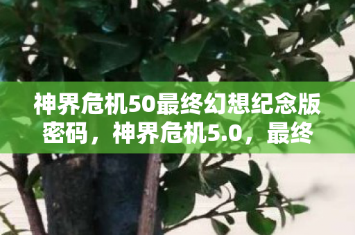 神界危机50最终幻想纪念版密码，神界危机5.0，最终幻想纪念版的神秘密码