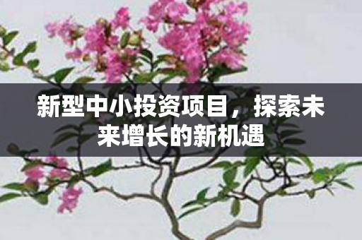新型中小投资项目，探索未来增长的新机遇