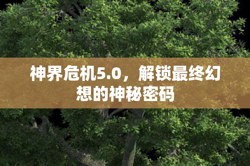 神界危机5.0，解锁最终幻想的神秘密码