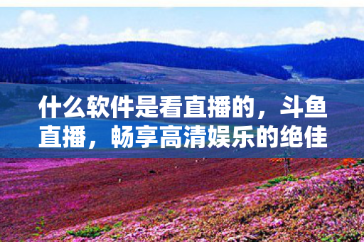 什么软件是看直播的，斗鱼直播，畅享高清娱乐的绝佳选择