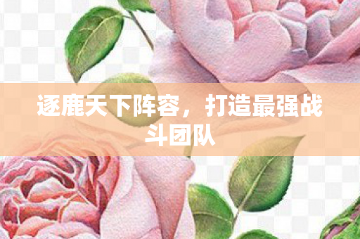 逐鹿天下阵容,打造最强战斗团队 逐鹿天下阵容,打造最强战斗团队