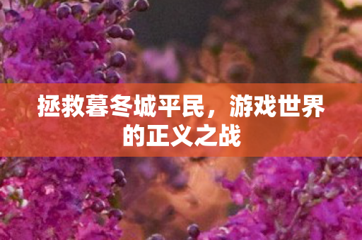 拯救暮冬城平民，游戏世界的正义之战