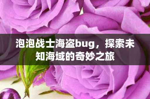 泡泡战士海盗bug，探索未知海域的奇妙之旅