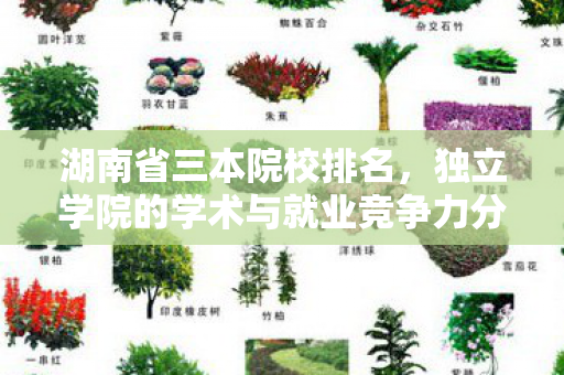 湖南省三本院校排名，独立学院的学术与就业竞争力分析