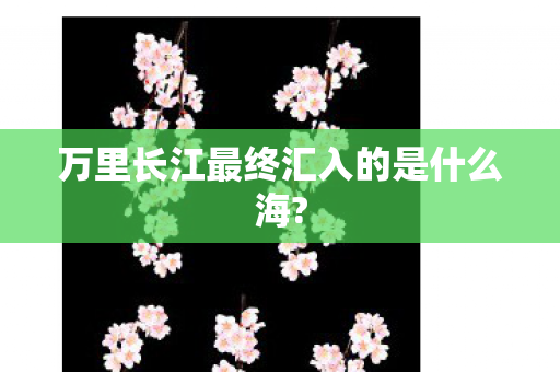 万里长江最终汇入的是什么海? 万里长江最终汇入的是什么海?