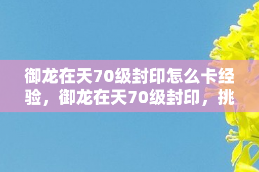 御龙在天70级封印怎么卡经验,御龙在天70级封印,挑战与机遇并存 御龙在天70级封印怎么卡经验,御龙在天70级封印,挑战与机遇并存