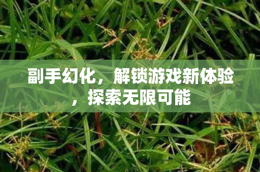 副手幻化,解锁游戏新体验,探索无限可能 副手幻化,解锁游戏新体验,探索无限可能