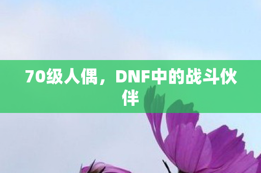 70级人偶，DNF中的战斗伙伴