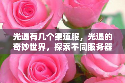 光遇有几个渠道服,光遇的奇妙世界,探索不同服务器的独特魅力 光遇有几个渠道服,光遇的奇妙世界,探索不同服务器的独特魅力