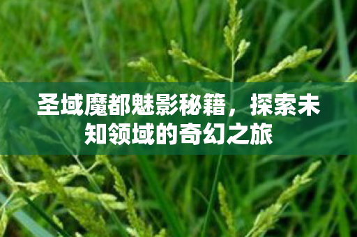 圣域魔都魅影秘籍,探索未知领域的奇幻之旅 圣域魔都魅影秘籍,探索未知领域的奇幻之旅