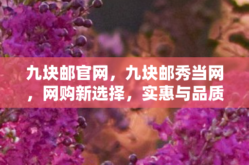 九块邮官网,九块邮秀当网,网购新选择,实惠与品质并存 九块邮官网,九块邮秀当网,网购新选择,实惠与品质并存