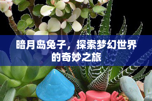 暗月岛兔子,探索梦幻世界的奇妙之旅 暗月岛兔子,探索梦幻世界的奇妙之旅