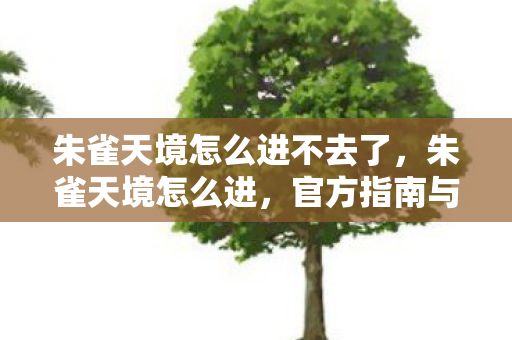 朱雀天境怎么进不去了,朱雀天境怎么进,官方指南与探索之旅 朱雀天境怎么进不去了,朱雀天境怎么进,官方指南与探索之旅