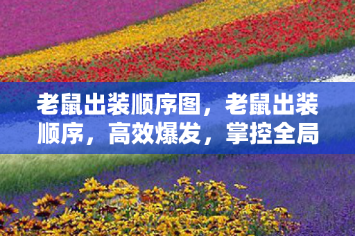 老鼠出装顺序图,老鼠出装顺序,高效爆发,掌控全局 老鼠出装顺序图,老鼠出装顺序,高效爆发,掌控全局
