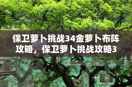 保卫萝卜挑战34金萝卜布阵攻略,保卫萝卜挑战攻略34金萝卜 保卫萝卜挑战34金萝卜布阵攻略,保卫萝卜挑战攻略34金萝卜