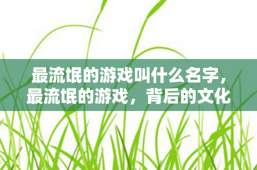最流氓的游戏叫什么名字,最流氓的游戏,背后的文化现象与反思 最流氓的游戏叫什么名字,最流氓的游戏,背后的文化现象与反思