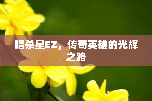 暗杀星EZ,传奇英雄的光辉之路 暗杀星EZ,传奇英雄的光辉之路
