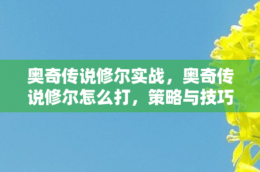 奥奇传说修尔实战，奥奇传说修尔怎么打，策略与技巧详解