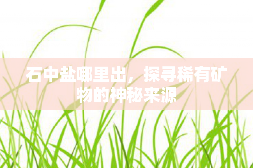 石中盐哪里出,探寻稀有矿物的神秘来源 石中盐哪里出,探寻稀有矿物的神秘来源
