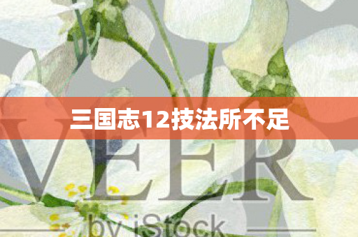 三国志12技法所不足