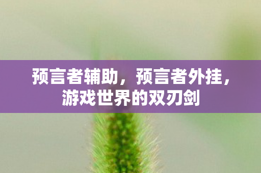 预言者辅助,预言者外挂,游戏世界的双刃剑 预言者辅助,预言者外挂,游戏世界的双刃剑