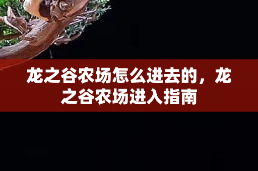 龙之谷农场怎么进去的,龙之谷农场进入指南 龙之谷农场怎么进去的,龙之谷农场进入指南