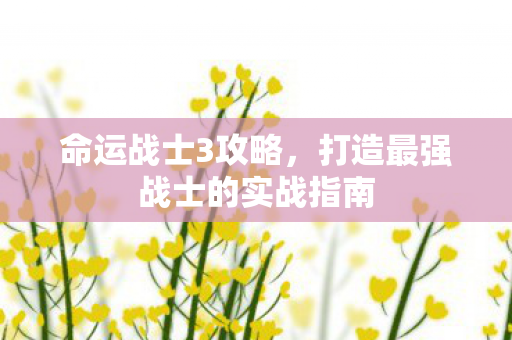 命运战士3攻略,打造最强战士的实战指南 命运战士3攻略,打造最强战士的实战指南