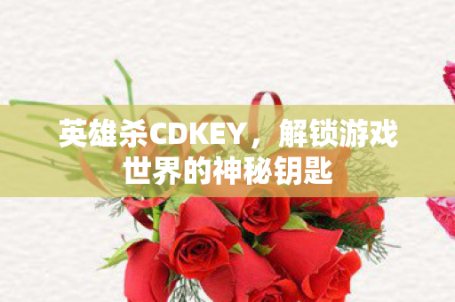 英雄杀CDKEY,解锁游戏世界的神秘钥匙 英雄杀CDKEY,解锁游戏世界的神秘钥匙