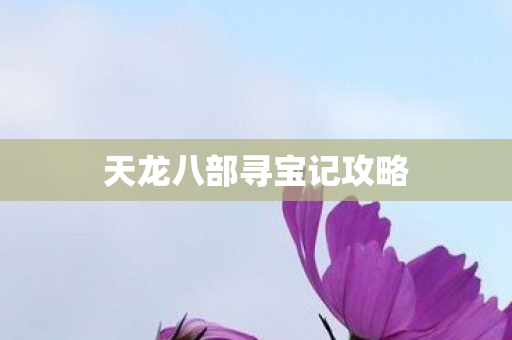 天龙八部寻宝记攻略 天龙八部寻宝记攻略
